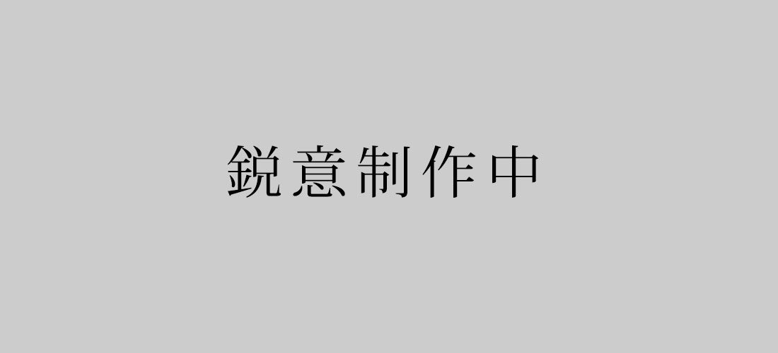 °Â¿ï ¥¹¥Æ¥ó¥ì¥¹ Ê¿·¹ÝÉÕ â3004