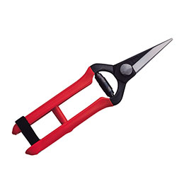 ϩʪ K-1 180mm